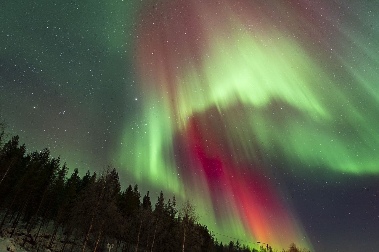 Green and red aurora over a forest in Lapland